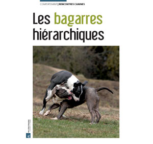 Les bagarres hiérarchiques chez le chien, document écrit par Julie Willems, comportementaliste animalier Bruxelles