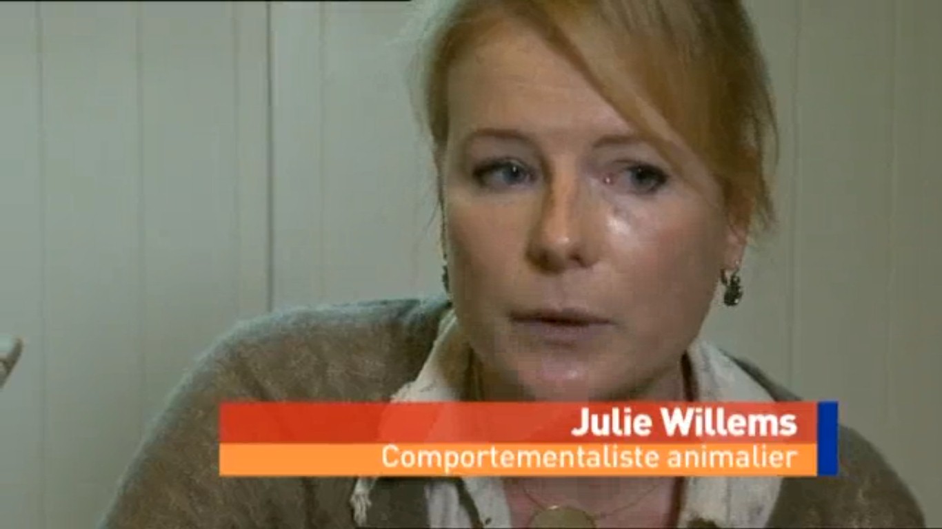 Emission Image à l'appui avec Julie Willems, comportementaliste animalier