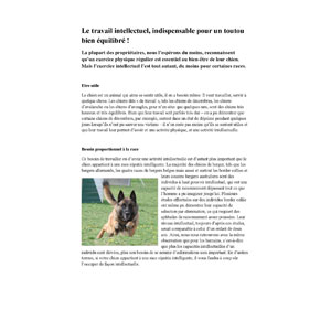 Travail intellectuel pour chiens, article rédigé par Julie Willems, comportementaliste animalier à Bruxelles