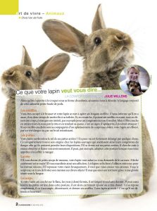Article rédigé par Julie Willems, comportementaliste pour lapin
