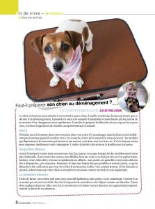 Préparer son chien au déménagement - article - Plus Magazine Octobre 2014