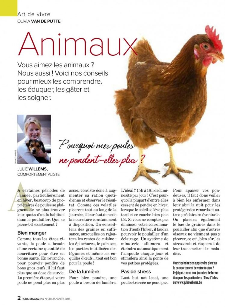 Pourquoi Mes Poules Ne Pondent Plus