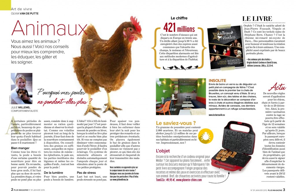 Pourquoi mes poules ne pondentelles pluspage001 Ethologue Comportementaliste animalier