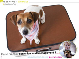 Faut-il préparer son chien au déménagement ? - Ethologue 