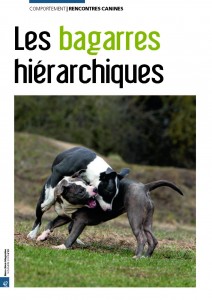 Bagarres hiérarchiques - Mon chien magazine - Novembre 2010_Page_1