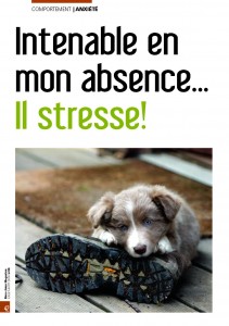 L'anxiété de séparation - Mon chien Magazine - Juillet 2009