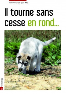 Le toc - Mon chien magazine - Décembre 2012_Page_1