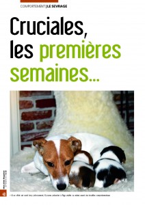 Les premières semaines de vie - Mon chien magazine - Septembre 2010_Page_1