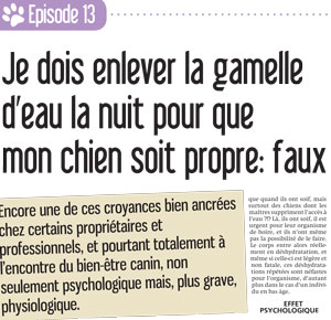 Idee Recue N 13 Je Dois Enlever La Gamelle D Eau La Nuit Pour Que Mon Chien Soit Propre Ethologue Comportementaliste Animalier