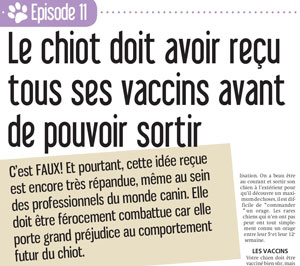 les vaccins chez le chien, document écrit par Julie Willems, comportementaliste chiens sur Bxl