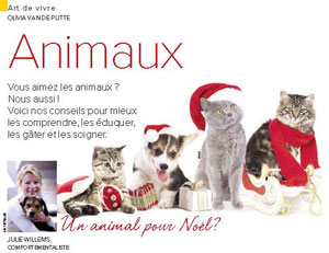 Animal en cadeau de Noël, document rédigé par Julie Willems, comportementaliste pour chiens et chats Bxl