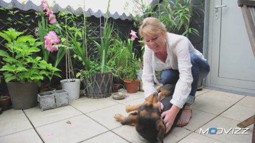 Khéops et Julie Willems, comportementaliste chiens à Bruxelles