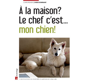 Hiérarchie chez le chien, document écrit par Julie Willems, comportementaliste chien sur Bxl