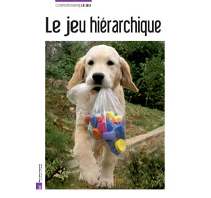 Le jeu hiérarchique chez le chien, document écrit par Julie Willems, comportementaliste pour chiens Bruxelles