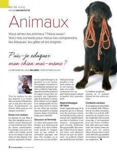 éducation chien, Articlé écrit par Julie Willems, éthologue-comportementaliste canin