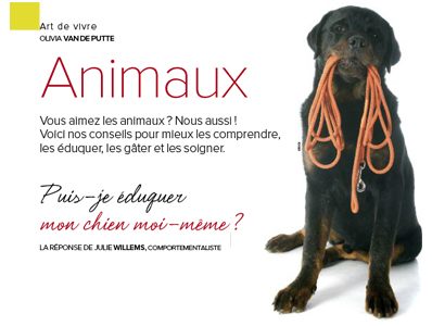 Puis-je éduquer mon chien moi-même ? Puis-je éduquer mon chien moi-même ?