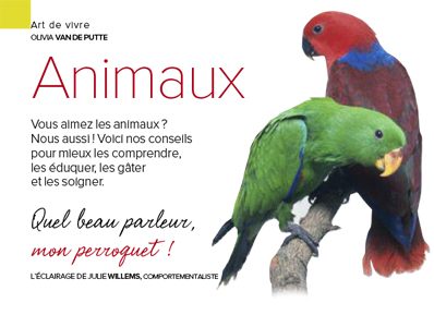 Quel beau parleur, mon perroquet ! Quel beau parleur, mon perroquet !