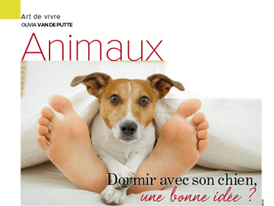 chien sur le lit, Article rédigé par Julie Willems, comportementaliste canin