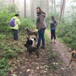 Pause en forêt pendant une excursion canine