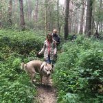 Chien Loup Slovaque se promenant dans une forêt