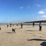 Amusante découverte du sable et de la mer pour les chiens