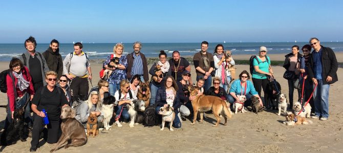 Notre balade canine à la mer en canibus Notre balade canine à la mer en canibus