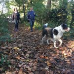 Traversée forestière par les promeneurs et leur chien