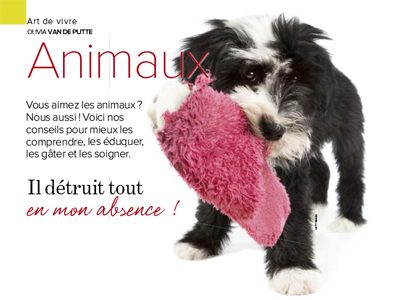 Il détruit tout en mon absence! Il détruit tout en mon absence!