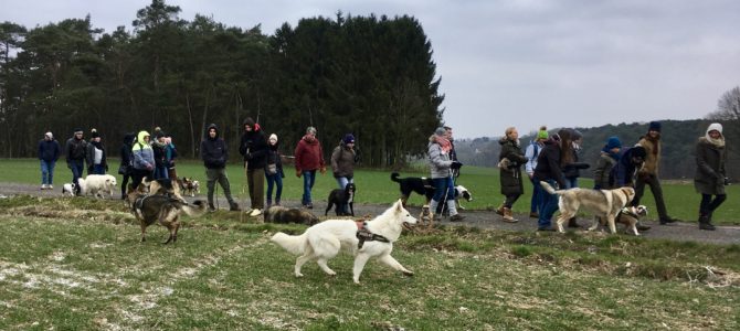 Les photos de notre première balade canine du 18.03.18 Les photos de notre première balade canine du 18.03.18