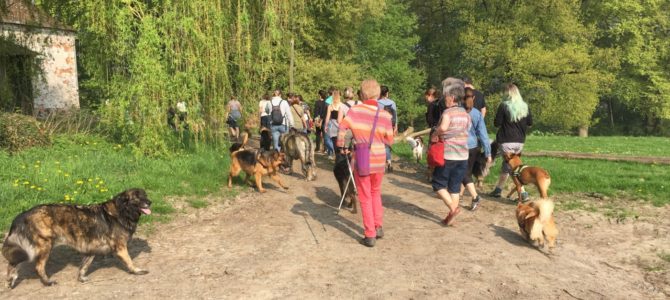 Photos de nos magnifiques balades canines du 21.04.18 Photos de nos magnifiques balades canines du 21.04.18