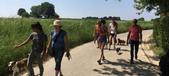 Toutes les photos de nos balades canines de ce samedi 26 mai! Toutes les photos de nos balades canines de ce samedi 26 mai!