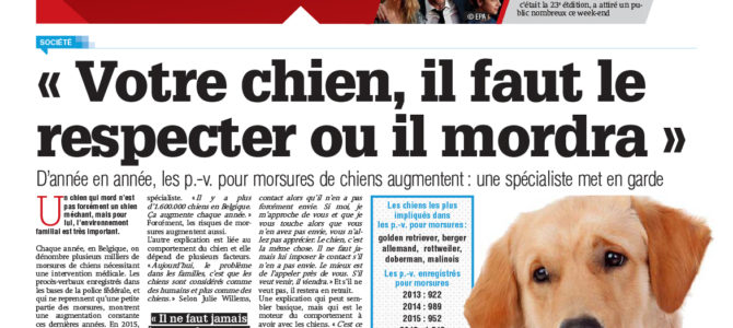 Votre chien, il faut le respecter ou il mordra Votre chien, il faut le respecter ou il mordra