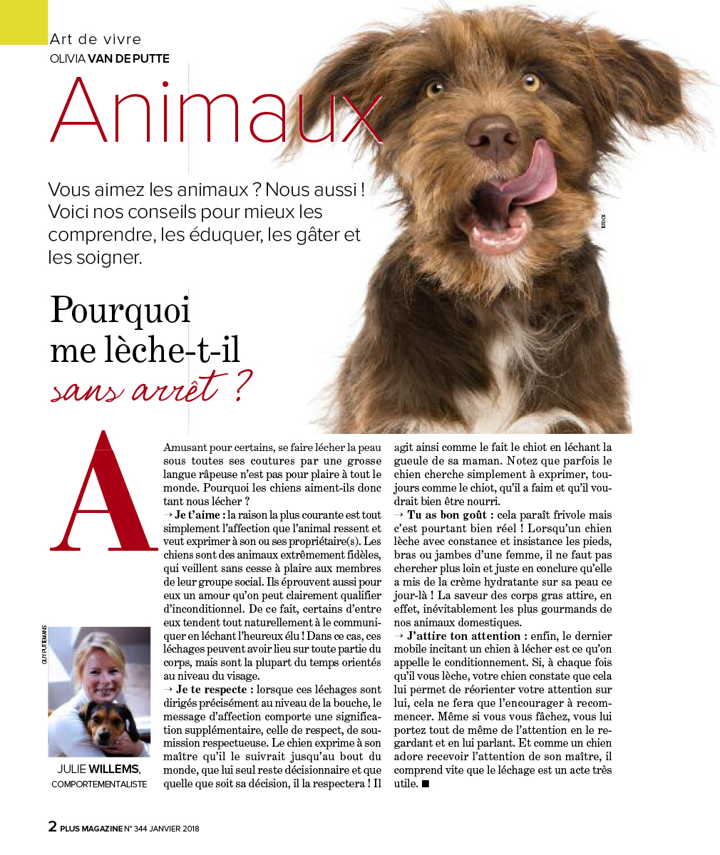 Mon Chien Me Lèche Sans Arrêt Les Jambes pourquoi-me-leche-t-il-sans-arret - Ethologue - Comportementaliste