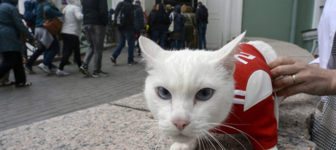 Pronostics animaliers : mensonges organisés ou divins devins ? Pronostics animaliers : mensonges organisés ou divins devins ?
