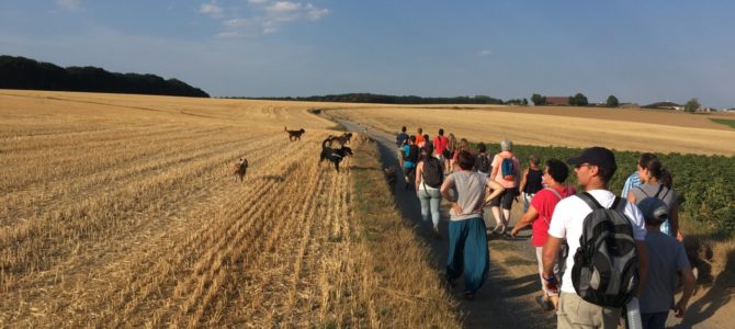 Les photos de notre balade canine du 6 août en soirée.. Les photos de notre balade canine du 6 août en soirée..