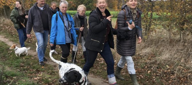 Notre première balade du 10 novembre 2018 dans le bois de Bonlez Notre première balade du 10 novembre 2018 dans le bois de Bonlez