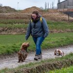 Cavalier King Charles et Cocker en balade