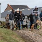 Promeneurs sur un chemin