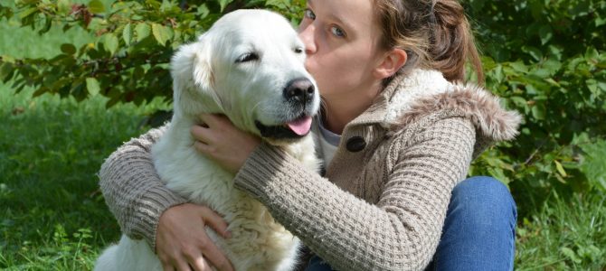 Mon chien compte plus que tout Mon chien compte plus que tout