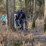 Forêt et promenade avec animal behaviour center