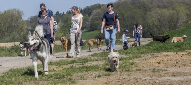 Et notre troisième balade canine.. Et notre troisième balade canine..