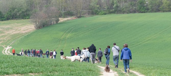 Les photos de notre deuxième balade canine de ce samedi 6 avril Les photos de notre deuxième balade canine de ce samedi 6 avril